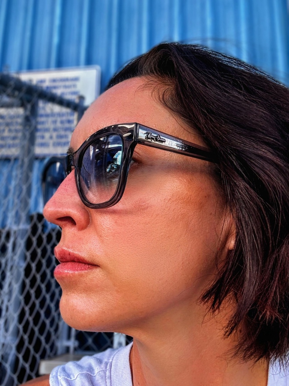 Ray-Ban Black and Smoke Gradient Frame Sunglasses